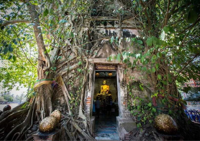 From Bangkok: Taste and Tune of Samut Songkhram Private Tour - Visit to Uncle Tias Pomelo Orchard