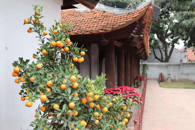 HANOI MOTORBIKING TO TOURIST ATTRACTIONS & STREET FOOD TOUR - Booking Flexibility and Cancellation Policy