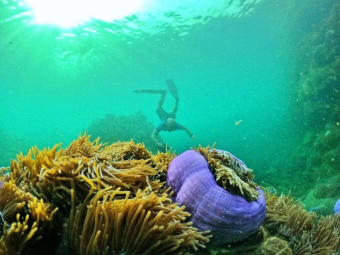 South Phu Quoc: Pro Snorkeling Tour by Speedboat - Recommended Items to Bring