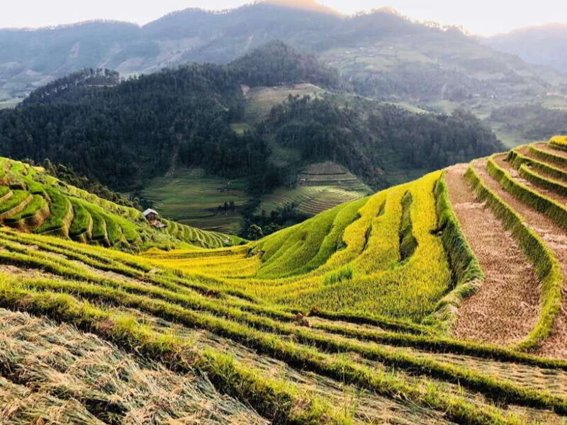 Visit Villages, Terrace Rice Field With Easy Riders Half Day - Convenient Motorbike Ride Experience
