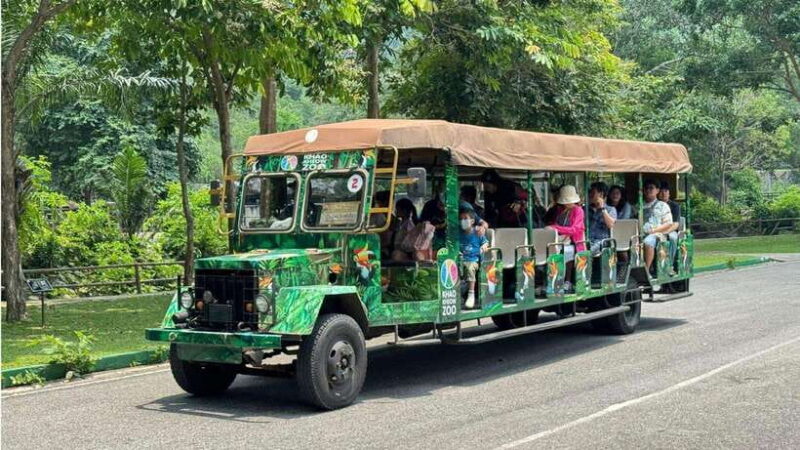 Bangkok: Elephant Sanctuary and Khao Kheow Open Zoo Tour - Lunch at the Sanctuary