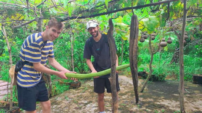 Can Tho: Countryside Cycling Tour With Cocoa Farm Visit - Cocoa Farm Visit and Tasting