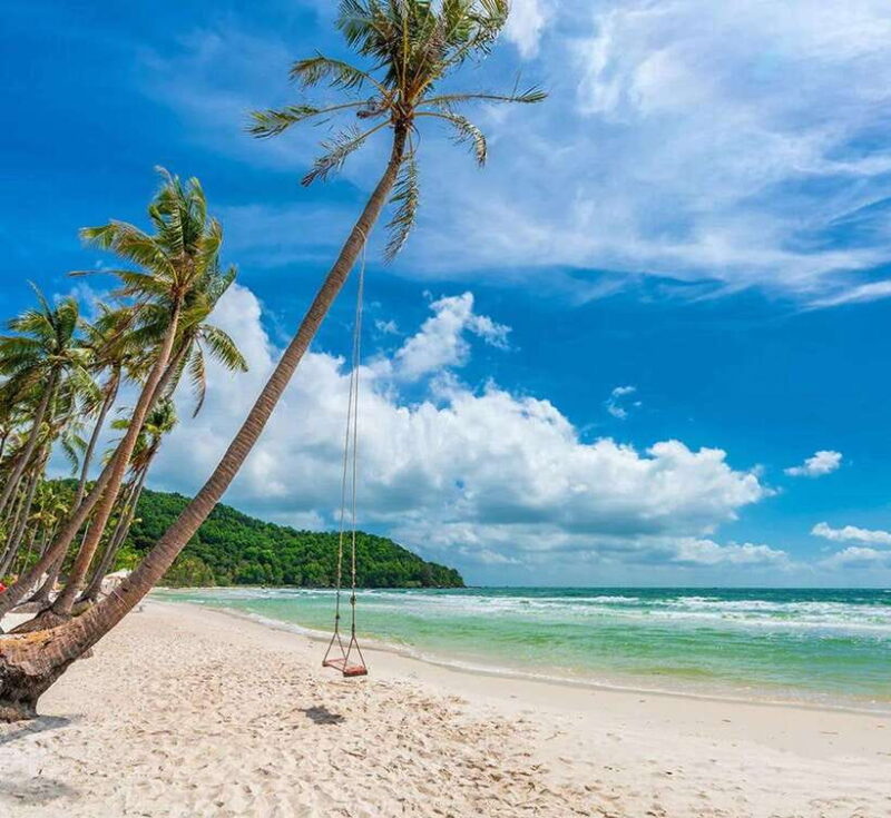 Explore &Sightseeing In The South–Sao Beach–Ho Quoc Pagoda - Experiencing Sim Wine Production