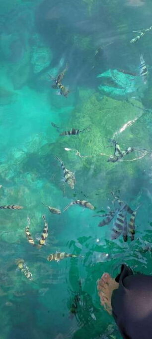 Ko Samui: Angthong National Marine Park by Speedboat - Important Notes and Restrictions
