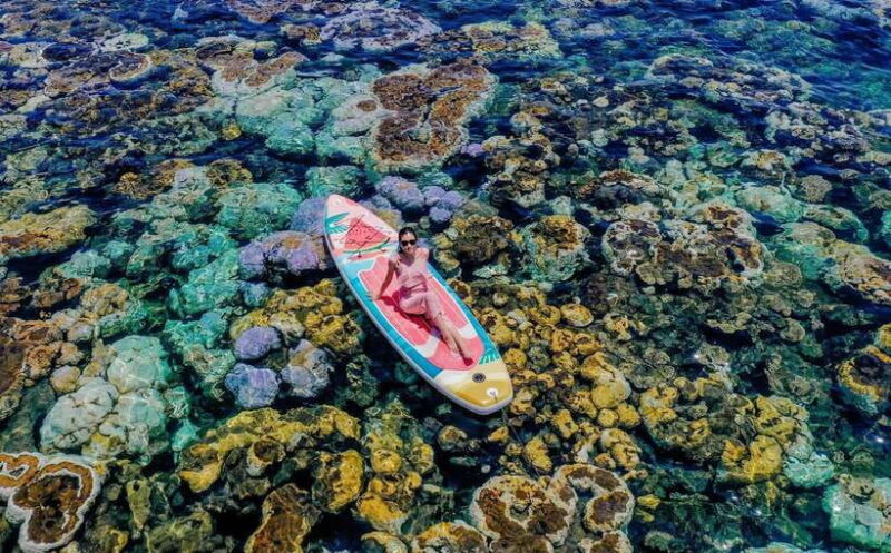 Nha Trang 4 Island Beach Sightseeing Group Luxury Tour - Overview of the Tour