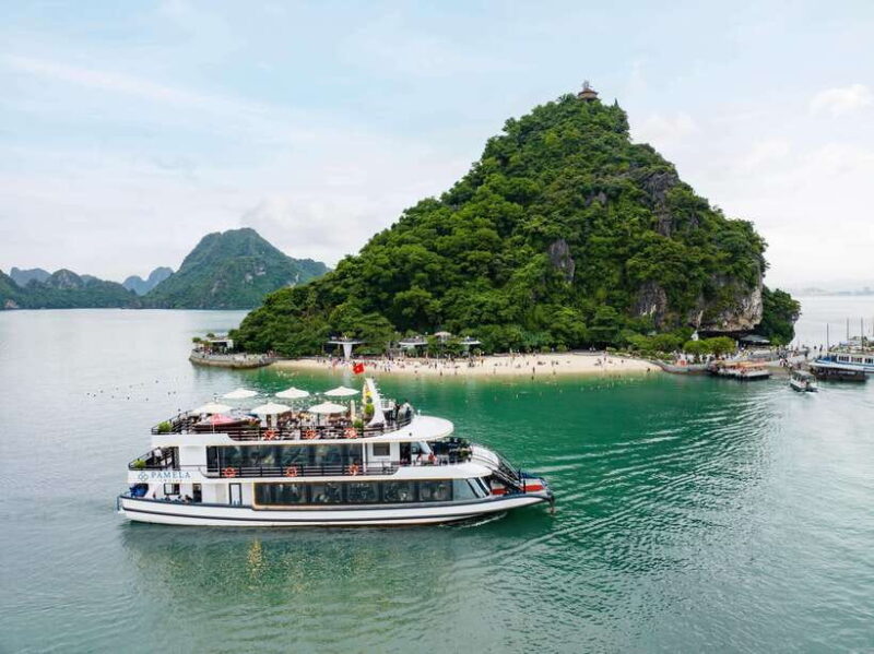 Pamela Cruise: Halong Bay Day Trip With Lunch & Activities - Important Information and Recommendations