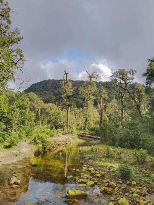 SAPA : Climb up to Fansipan Mountain With LOCAL GUIDE - Important Safety and Health Considerations