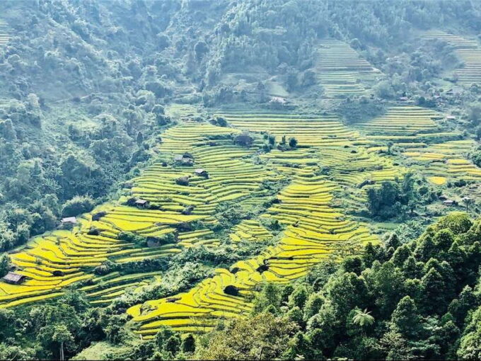 Visit Villages, Terrace Rice Field With Easy Riders Half Day - Frequently Asked Questions