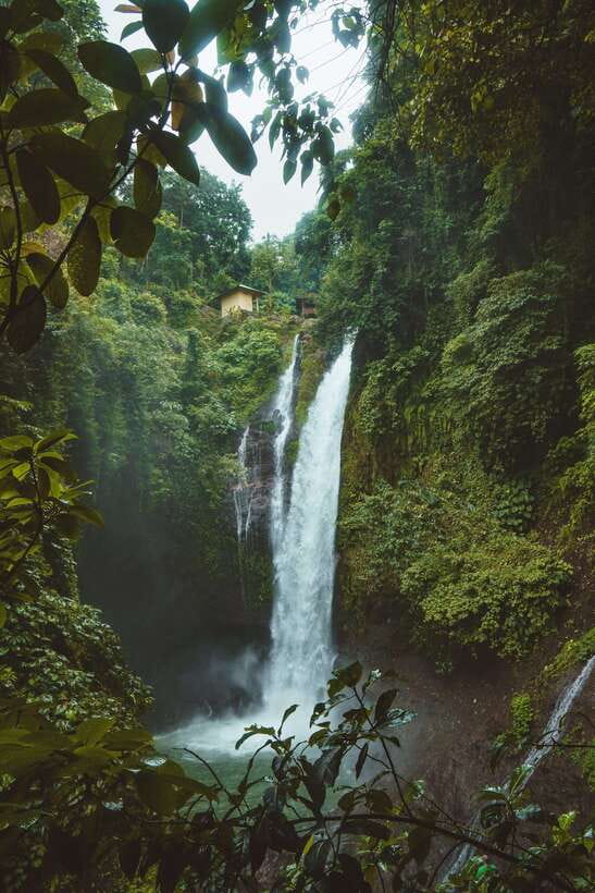 7 Hiden waterfalls and Luwak Coffee Visit - The Itinerary Breakdown: What to Expect