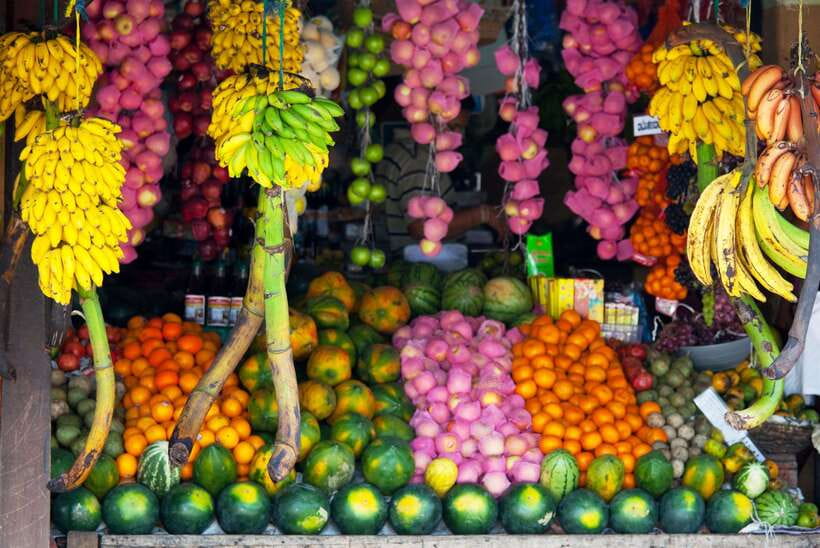 7 night 8 days Tour in Srilanka - Practical Details and Value
