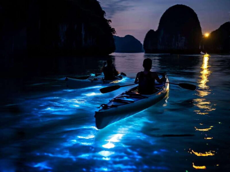 Cat Ba: Sunset and Night Kayak With Bioluminescent Plankton - Night Kayaking Adventure