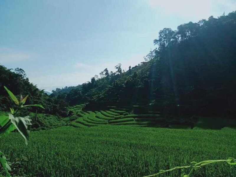 CHIANG MAI: 1DAY TREKKING MAE JOK (PRIVATE) - Participant Restrictions