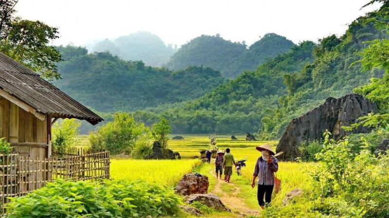 From Hanoi: Mai Chau Day Trip With Cycling and Lunch - Activities and Experiences on the Tour