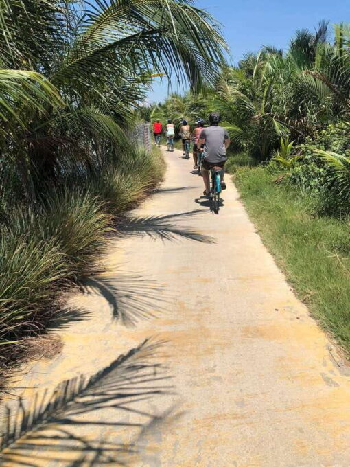 Hoi An: Half-Day Bike Tour With Local Guide - Whats Included in the Tour