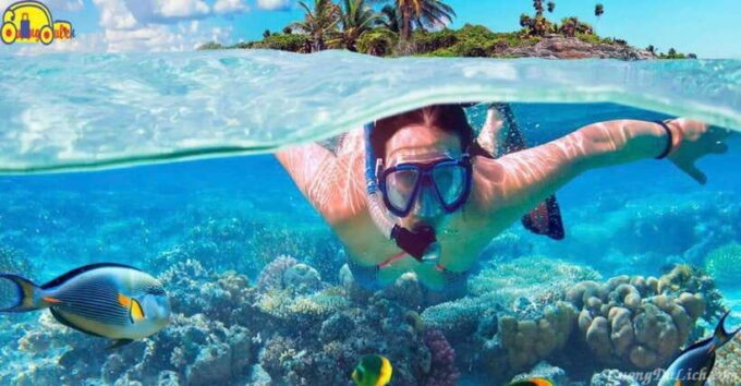 Nha Trang: Fantastic Tour W Snorkeling & BBQ at Mini Beach - Customer Testimonials and Feedback