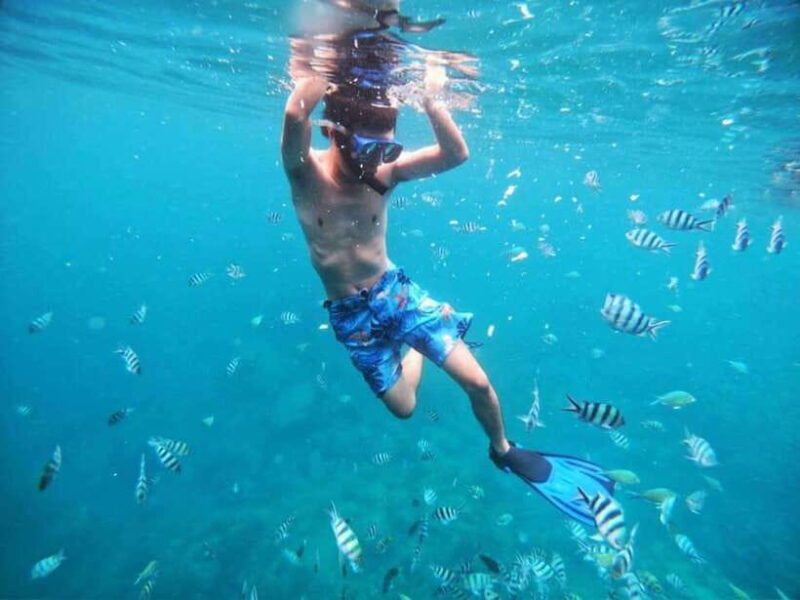 Nha Trang: Snorkeling, BBQ, Mud Bath and Resort Tour - Relaxation at Hon Tam Resort