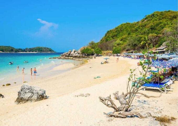 Pattaya: Koh Larn Island Day Trip With Lunch and Activities - Exploring the Natural Beauty of Koh Larn