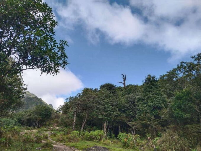 SAPA : Climb up to Fansipan Mountain With LOCAL GUIDE - Reviews and Ratings From Previous Climbers