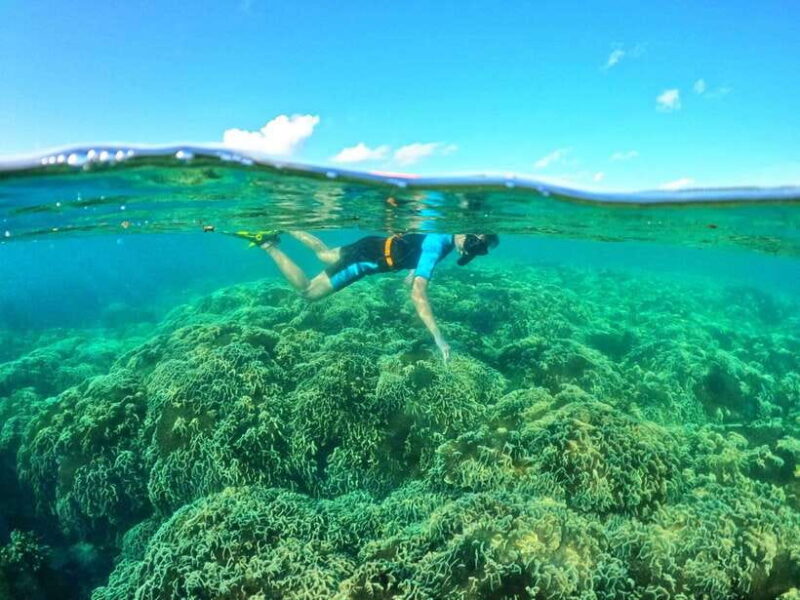 South Phu Quoc: Pro Snorkeling Tour by Speedboat - Transportation and Pickup Details
