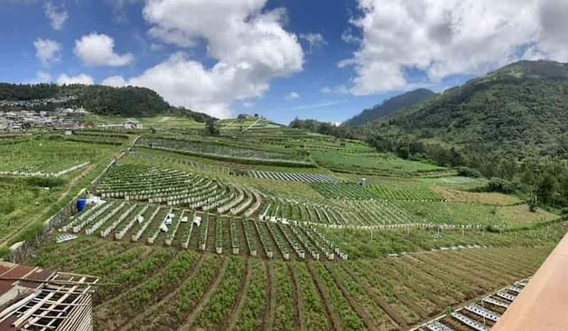 8 Days all inclusive - Motorbike Tour in Central Java - What We Love About This Tour