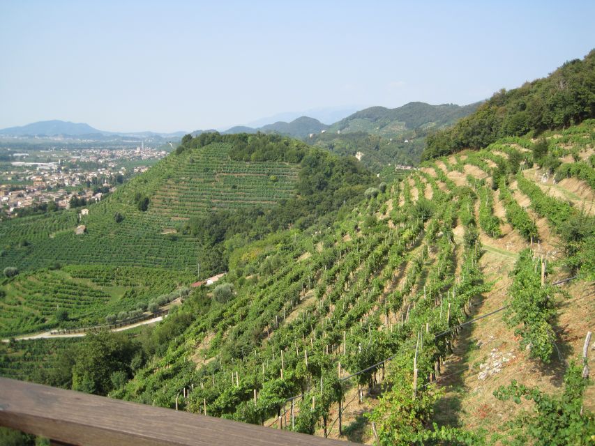 8-Hour Prosecco Wine and Tastings Tour from Venice or Padua - Why This Tour Is a Great Choice