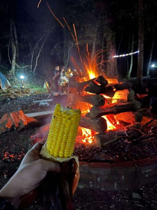 Bach Ma National Park Full-Day Group Tour From Hue City - Trekking to Bach Ma Summit
