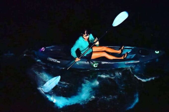 Cat Ba: Sunset and Night Kayak With Bioluminescent Plankton - Bioluminescent Plankton Experience