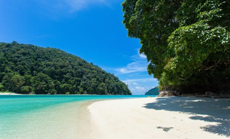 From Phuket or Khaolak: Surin Islands Day Trip - Transportation and Transfers