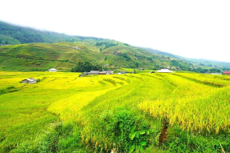 From Sapa Visit Lao Chai/Ta Van/Giang Ta Chai Sleep Homestay - Local Cuisine and Dining
