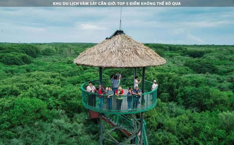Ho Chi Minh City: Can Gio Monkey Island Day Trip With Lunch - Overview of the Day Trip