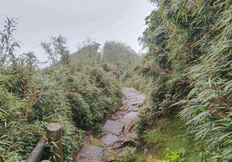 SAPA : Climb up to Fansipan Mountain With LOCAL GUIDE - Preparing for the Climb