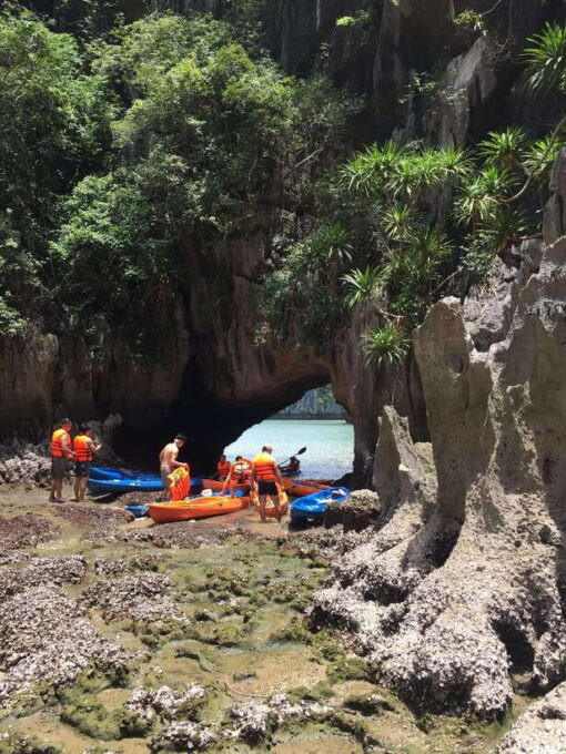 Cat Ba: Lan Ha Bay Full-Day Boat Tour - What to Bring
