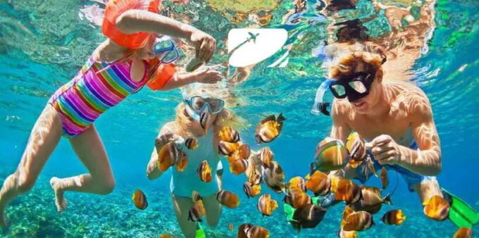 From Da Nang: Cham Island Sightseeing And Snorkeling Tour - Frequently Asked Questions