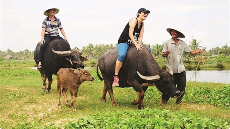 From Garden to Table: Tra Que Farming Tour - Iconic Dishes You Will Learn to Prepare