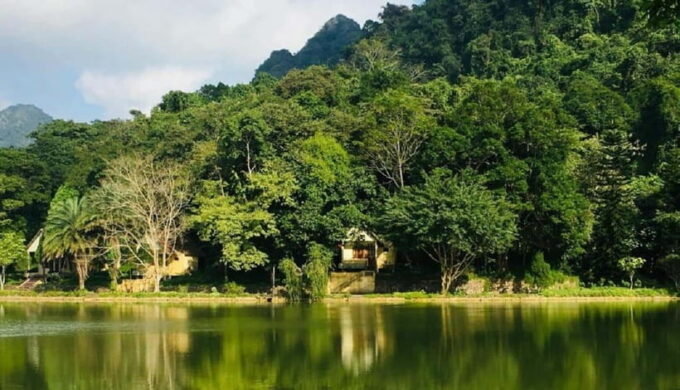 From Ninh Binh: Cuc Phuong National Park Day Trip With Lunch - Frequently Asked Questions