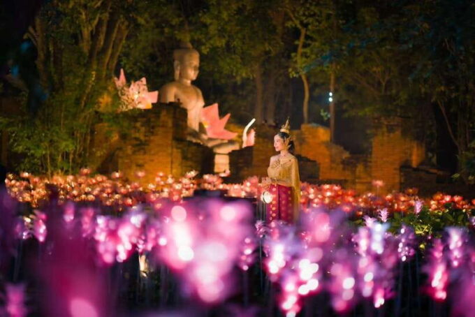 Light Festival at Na Satta Park: Magical Once-a-Year Moment - Whats Included in the Tour Package