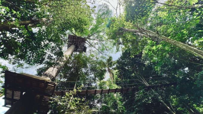 Phuket: Flying Hanuman Zipline Adventure - What to Expect on the Zipline