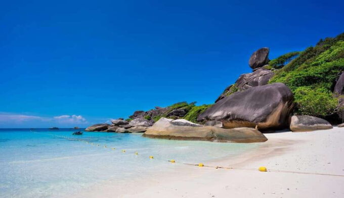 Phuket/Khaolak: Similan Islands Speed Catamaran Premium Trip - Participant Feedback