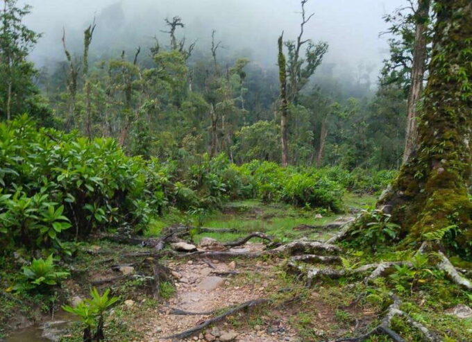 SAPA : Climb up to Fansipan Mountain With LOCAL GUIDE - Additional Options and Enhancements