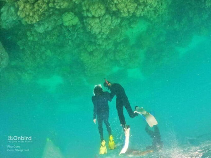 South Phu Quoc: Pro Snorkeling Tour by Speedboat - Frequently Asked Questions