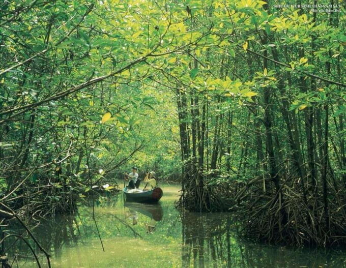 TP HCM: EXPLORE CAN GIO MANGROVE AND MONKEY ISLAND - What to Expect at Can Gio Mangrove Forest