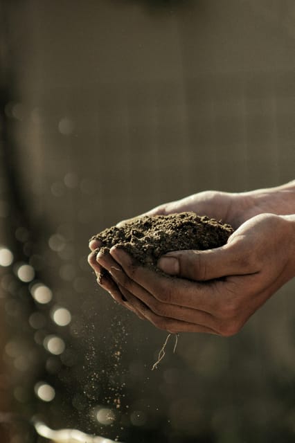 "A Day as a Farmer" Experience - Value for Money