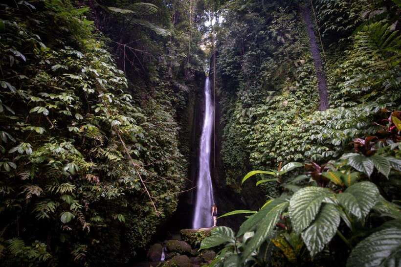 A Private Day Tour To Explore North Part of Bali - The Practical Side: What You Need to Know