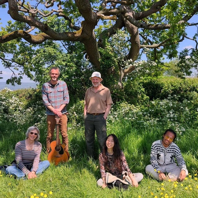 A Tour of Glastonbury - Guided by the Trees - The Hidden Gems and Lesser-Known Spots