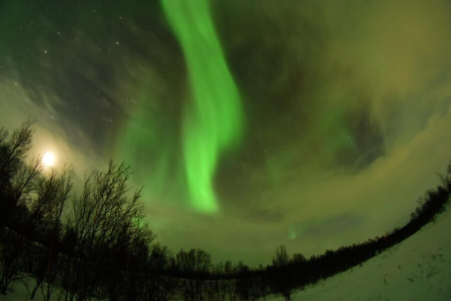 Abisko: Aurora Chasing with Snowmobiles - Overview and What to Expect