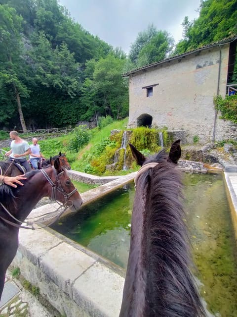 Abruzzo: Simbruini National Park Horseback Daily Adventure - Transport, Timing, and Practical Details