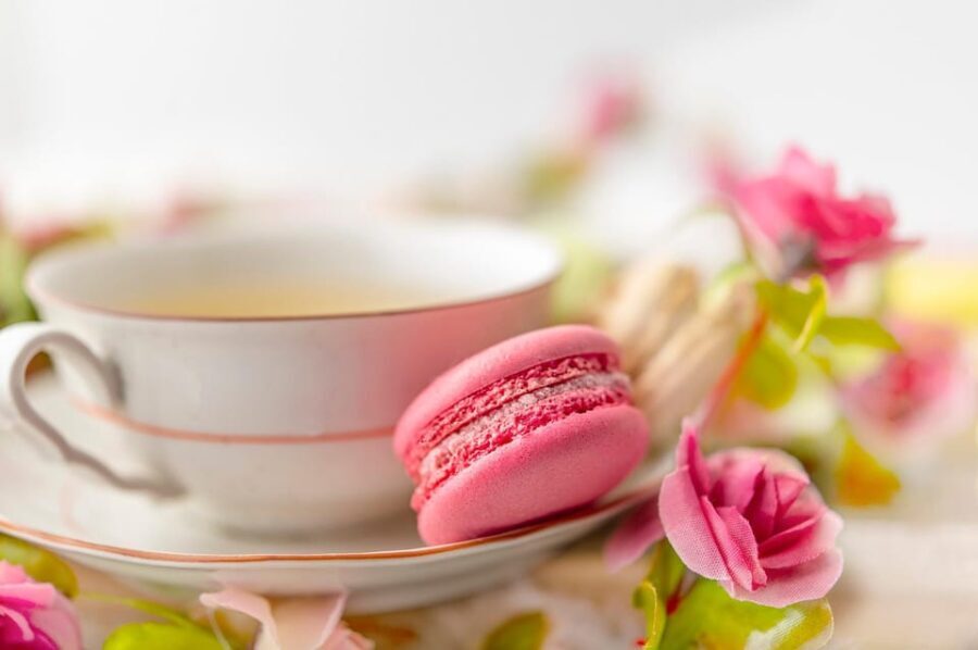 Afternoon Tea at Konopit Castle: Aristocratic Tradition - The Castle’s Historical Charm