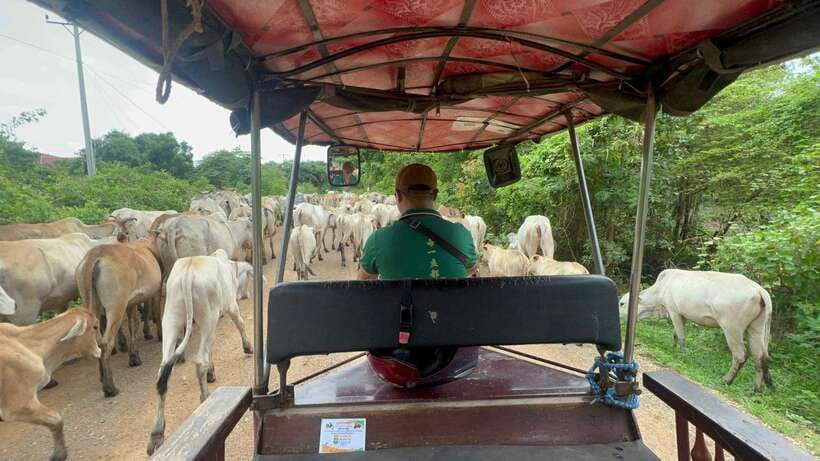 Afternoon tour through Battambang, Local area and landmarks - Exploring the Mountain: The Killing Cave & Bat Cave