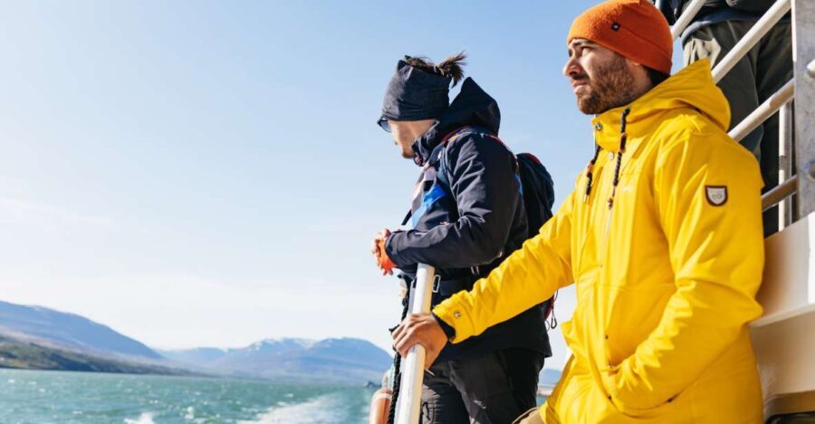 Akureyri: 3-Hour Classic Whale Watching Tour by Ship - How Does It Compare to Other Tours?