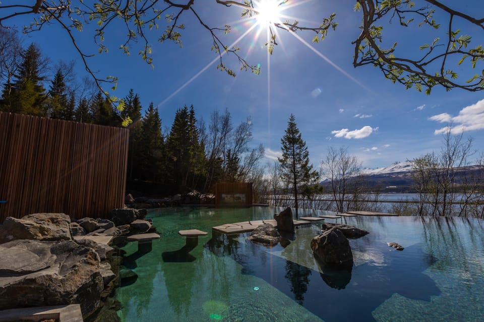 Akureyri: Forest Lagoon & Northern Lights Tour - Authentic Experiences and Honest Reviews